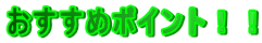 �������߃|�C���g�I�I
